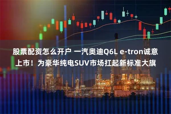 股票配资怎么开户 一汽奥迪Q6L e-tron诚意上市！为豪华纯电SUV市场扛起新标准大旗