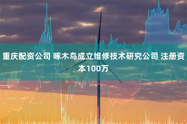 重庆配资公司 啄木鸟成立维修技术研究公司 注册资本100万