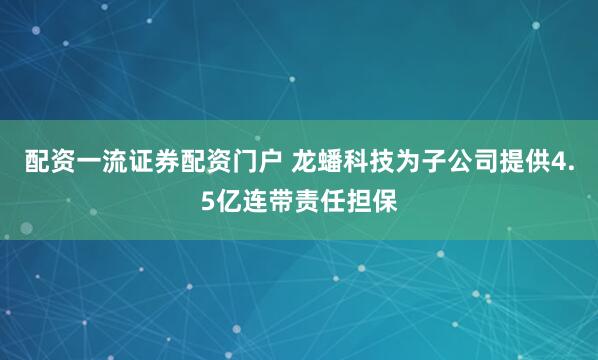 配资一流证券配资门户 龙蟠科技为子公司提供4.5亿连带责任担保