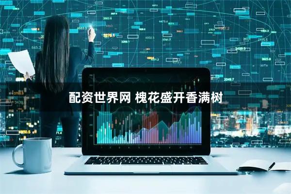 配资世界网 槐花盛开香满树